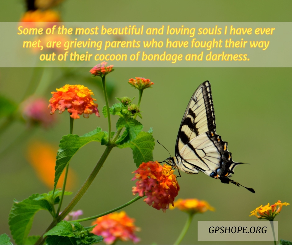 How God Uses Nature to Teach Us About Grief - GPS Hope